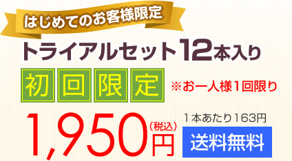 トライアルセット12本入り　初回限定1950円　送料無料