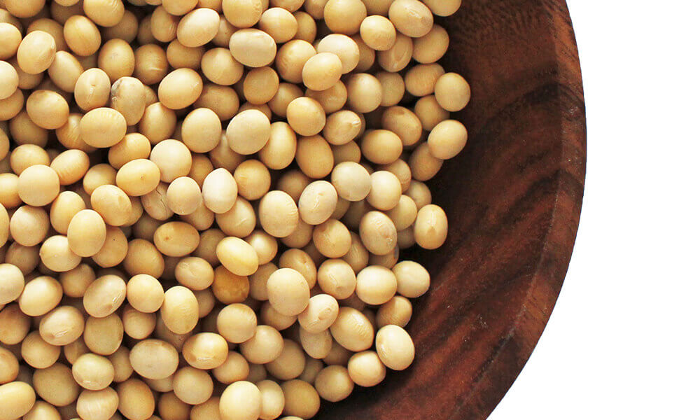 昭和27年から大豆一筋のマルサンアイが開発しました。