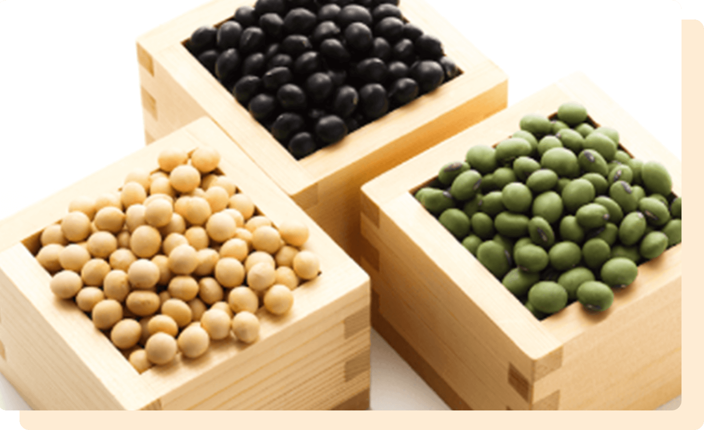 必須アミノ酸が豊富な豆類のたんぱく質。
