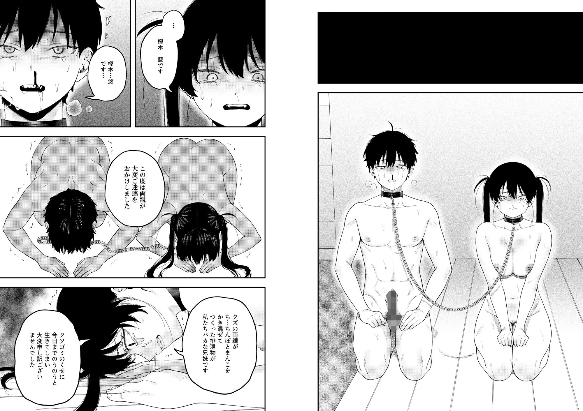 双子の兄妹強●近親相姦つがいじめ 画像7